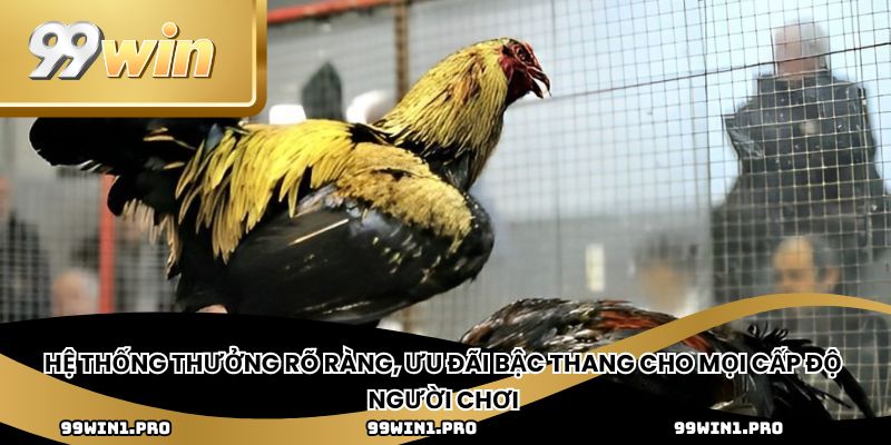 Hệ thống thưởng rõ ràng, ưu đãi bậc thang cho mọi cấp độ người chơi