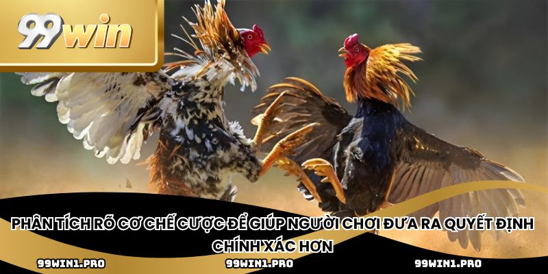 Phân tích rõ cơ chế cược để giúp người chơi đưa ra quyết định chính xác hơn