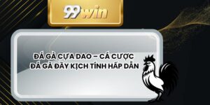 Đá Gà Cựa Dao – Cá Cược Đá Gà Đầy Kịch Tính Hấp Dẫn