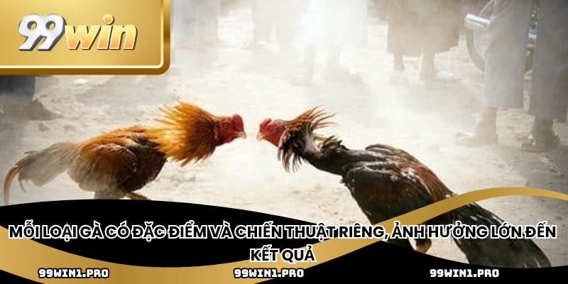 Mỗi loại gà có đặc điểm và chiến thuật riêng, ảnh hưởng lớn đến kết quả
