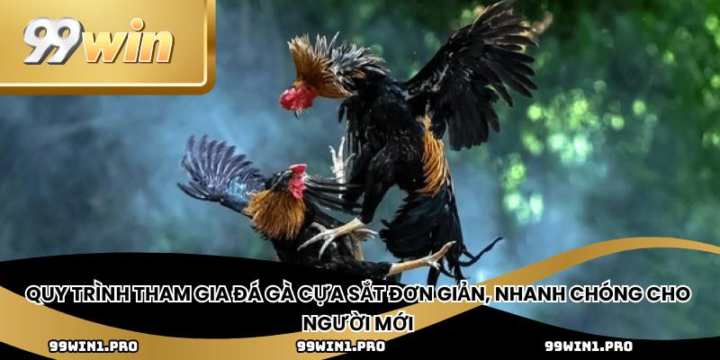 Quy trình tham gia đá gà cựa sắt đơn giản, nhanh chóng cho người mới