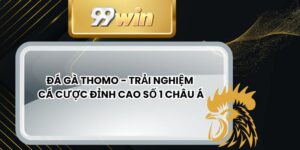 Đá Gà Thomo - Trải Nghiệm Cá Cược Đỉnh Cao Số 1 Châu Á