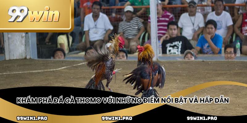 Khám phá các ưu đãi hấp dẫn khi tham gia đá gà 