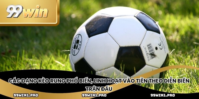 Kèo rung là gì và các dạng phổ biến, linh hoạt vào tiền theo diễn biến trận đấu