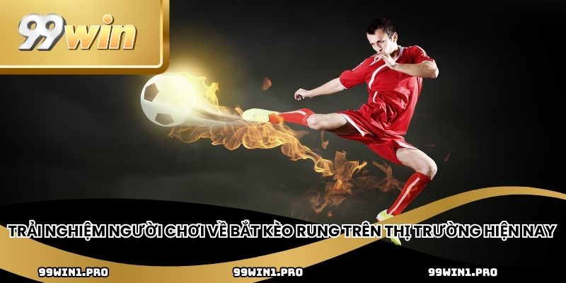 Trải nghiệm người chơi về bắt kèo rung trên thị trường hiện nay