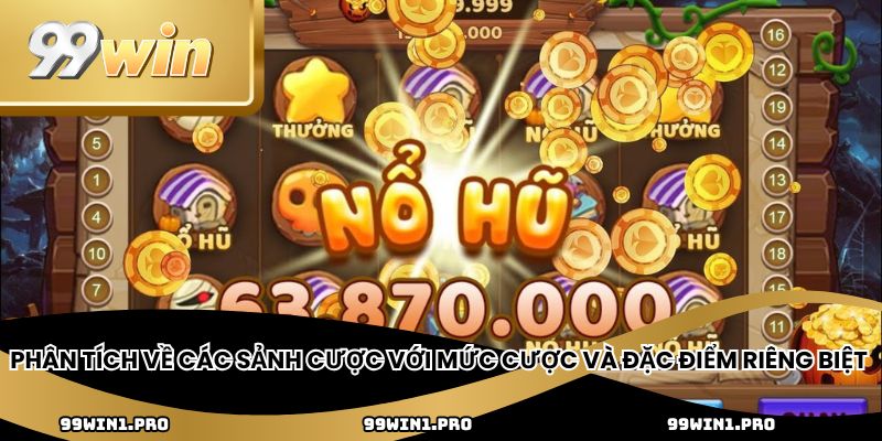 Phân tích về các sảnh cược với mức cược và đặc điểm riêng biệt